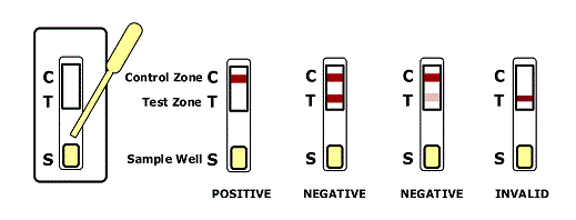 how to pass a nicotine test